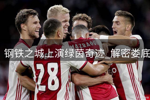 钢铁之城上演绿茵奇迹 解密娄底产业升级的"三张王牌