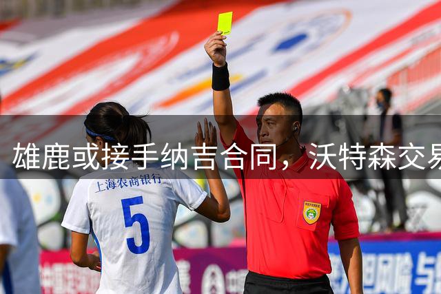 雄鹿或接手纳吉合同，沃特森交易添变数